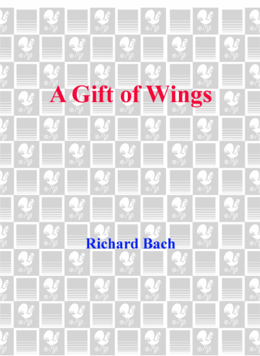 A Gift of Wings
